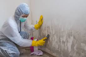 Best Environmental Consulting for Mold Prevention in Ritzville, WA